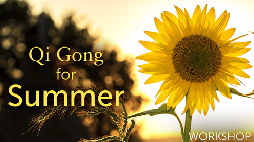 lee Holden – Qi Gong for Summer Workshop