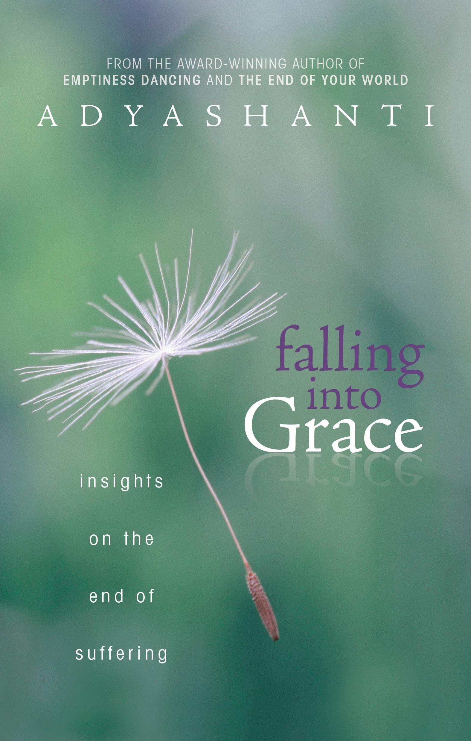 Adyashanti - FALLING INTO GRACE