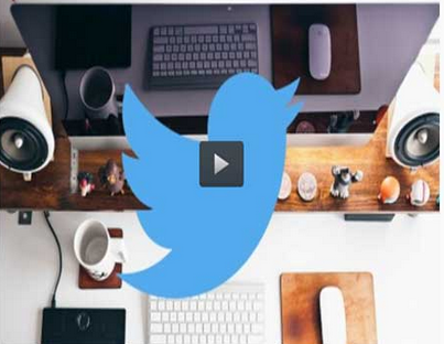 Elizabeth Hall - Twitter Marketing Guide