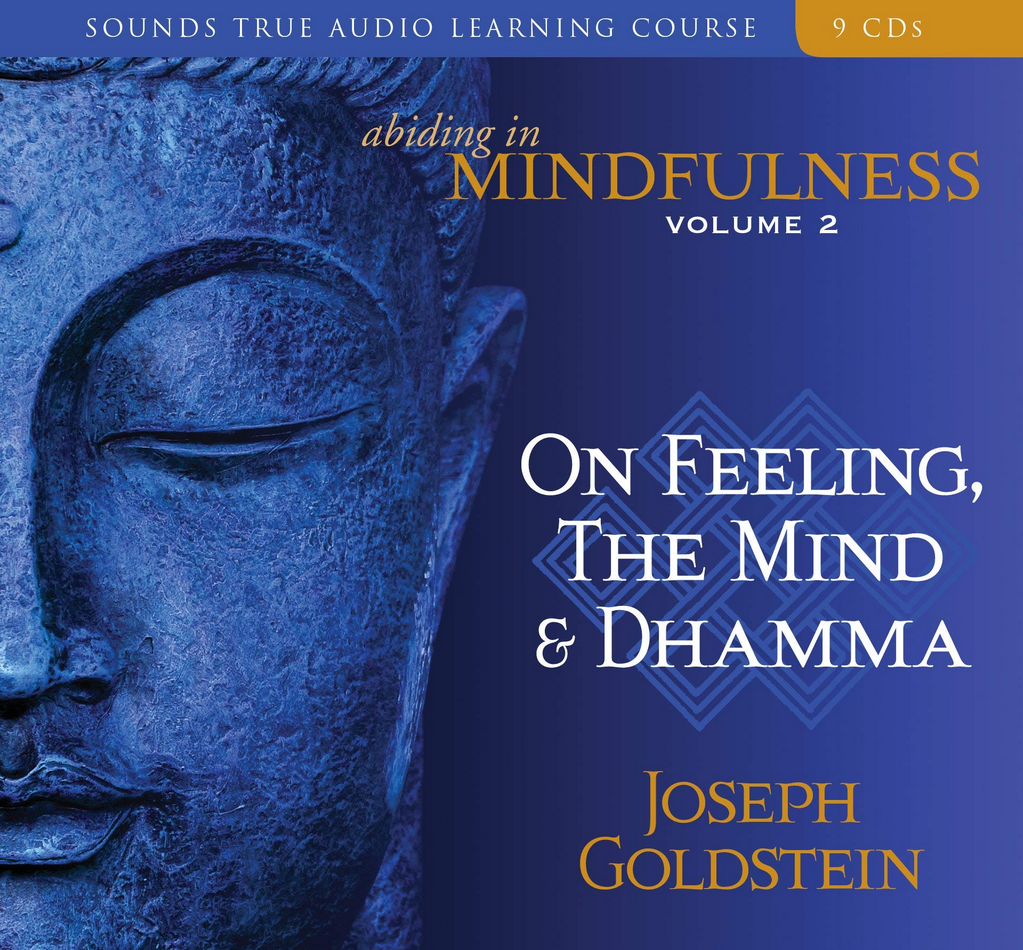 Joseph Goldstein – ABIDING IN MINDFULNESS VOLUME 2