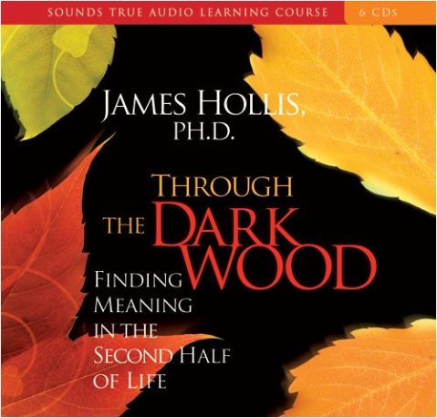 James Hollis - THROUGH THE DARK WOOD