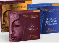 Joseph Goldstein – ABIDING IN MINDFULNESS COLLECTION