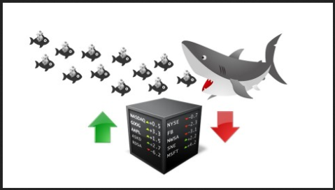 Idan Gabrieli - Stop Being the Stock Market Plankton