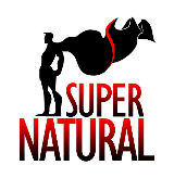 Julian Foxx – The Supernatural Survival Guide