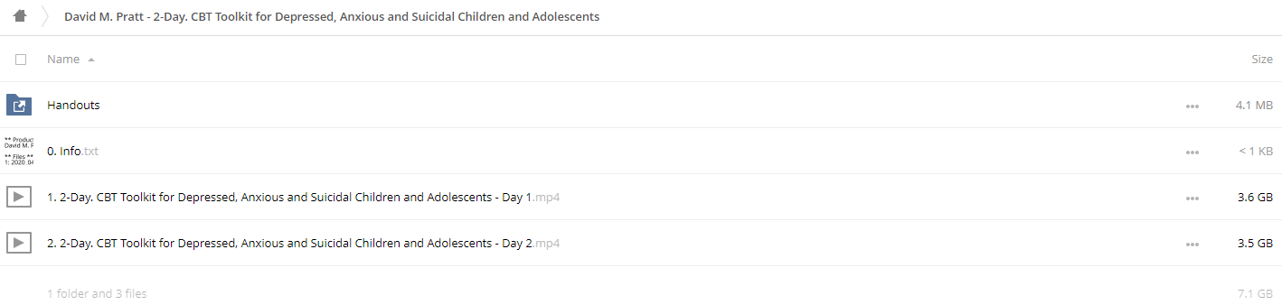 David M. Pratt - 2-Day: CBT Toolkit for Depressed. Anxious and Suicidal Children and Adolescents