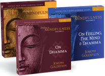 Abiding in Mindfulness Volumes 1 - 3