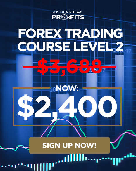 Adam Khoo - Forex Trading Course Level 2 - Pip Netter