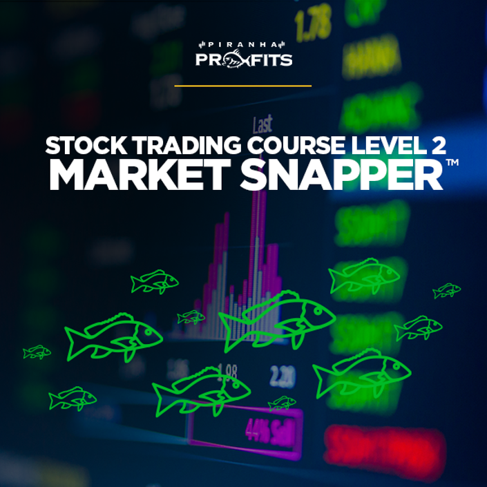 Adam Khoo - Stock Trading Course Level 2 Market Snapper 2021,