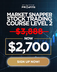 Adam Khoo - Stock Trading Course Level 2 Market Snapper