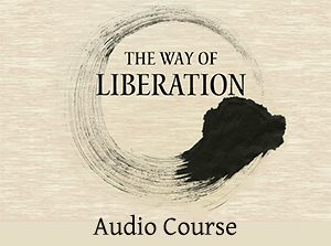 Adyashanti - The way of Liberating Insight - Study Course