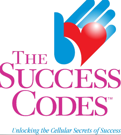 Alex Loyd - The Success Codes - Disc 04 Fixed