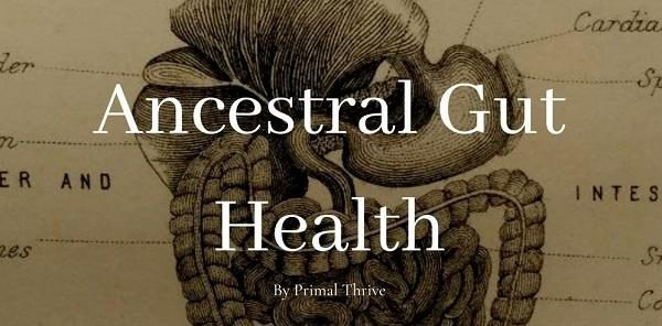 Ancestral Gut Health