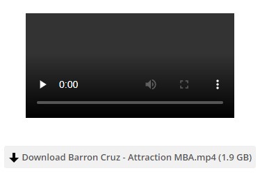 Barron Cruz - The Attraction MBA