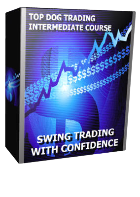 Barry Burns - SWING TRADING WITH CONFIDENCE