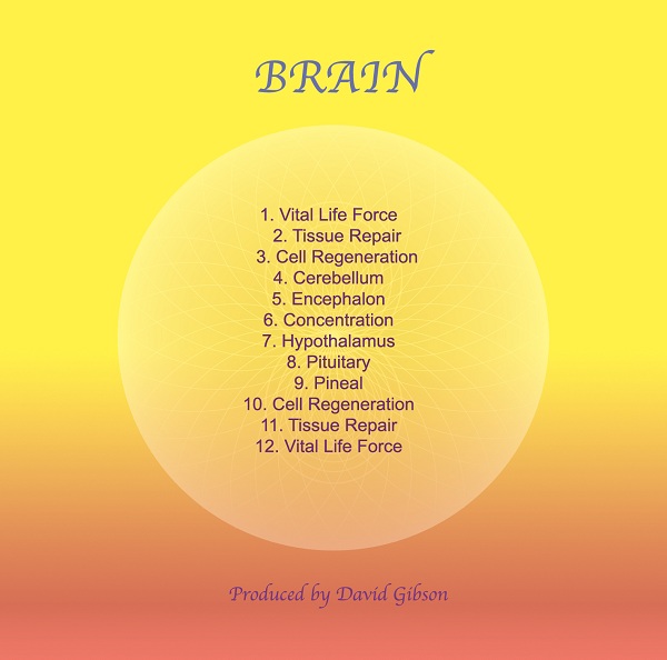 Brain