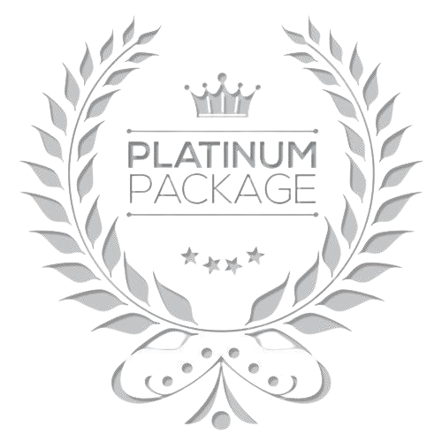 Breaking Into Wall Street - Platinum Package