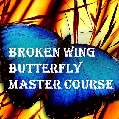 Broken Wing Butterfly Master Track Series