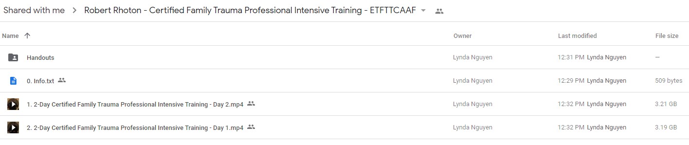 Certified Family Trauma Professional Intensive Training Effective Techniques for Treating Traumatized Children Adolescents and Families - Robert Rhoton