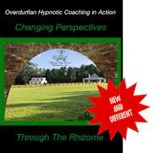 Changing Perspectives through the Rhizome