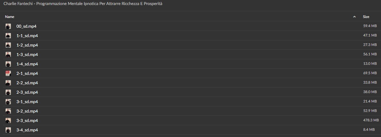 Charlie Fantechi - Programmazione Mentale Ipnotica Per Attrarre Ricchezza E Prosperità