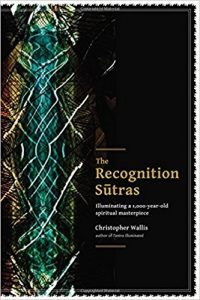 Christopher Wallis - The Recognition Sutras Illuminating