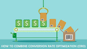 Conversion Rate Optimization Beginner (CRO Beginner)