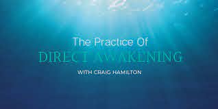 Craig Hamilton - The Practice Of Direct Awakening