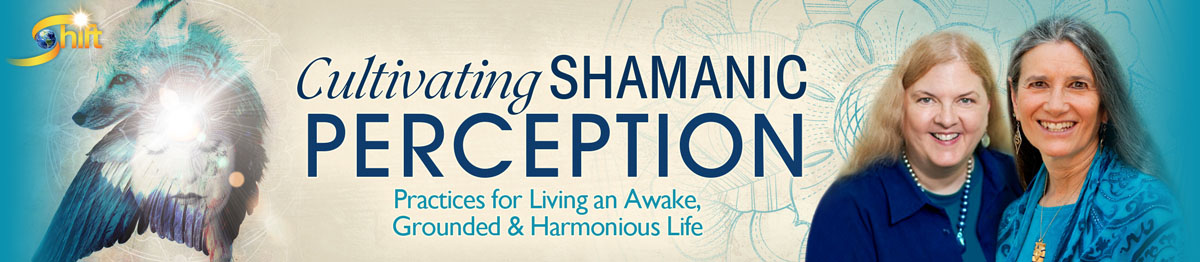 Cultivating Shamanic Perception