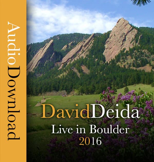 David Deida - Live in San Francisco 2016