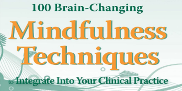 Debra Burdick - 100 Brain-Changing Mindfulness Techniques to Integrate Into Your Clinical Practice