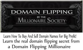 Domain Flipping By The Millionaire Society1