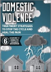 Domestic Violence: Treatment Strategies to Stop the Cycle and Heal the Pain - Joan Benz