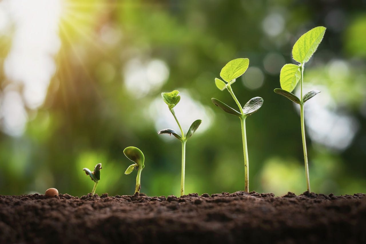 Dr. Elaine Ingham - Life In The Soil Class