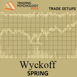 Dr. Gary Dayton - Wyckoff Spring