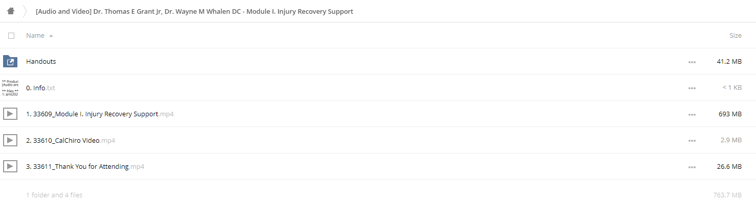 Dr. Thomas E Grant Jr - Dr. Wayne M Whalen DC - Module I: Injury Recovery Support