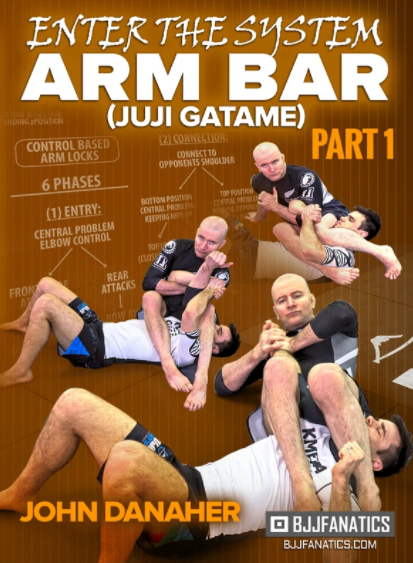 Enter The System Arm Bar