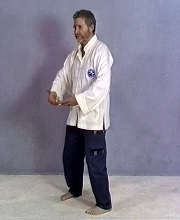 Erle Montaigue - MTG10 - Basic to Advanced Qigong