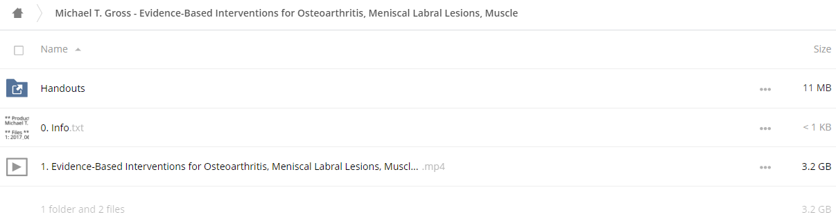 Evidence-Based Interventions for Osteoarthritis, Meniscal/Labral Lesions, Muscle/Tendon Strains, & Tendinitis - Michael T. Gross