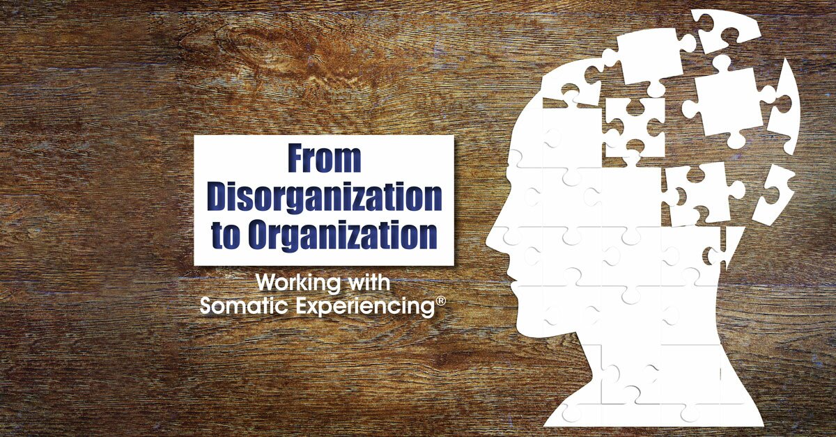 From Disorganization to Organization Working with Somatic Experiencing®