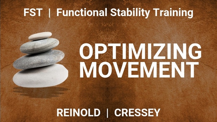 Functional Stability Training - Optimizing Movement