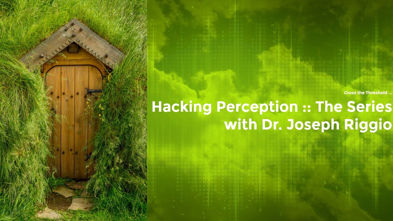 Hacking Perception - The Series