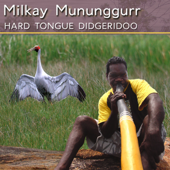 Hard Tongue Didgeridoo