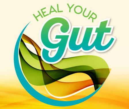 Heal Your Gut Summit 2016