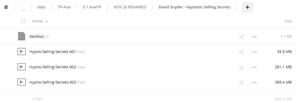 David Snyder - Hypnotic selling secrets