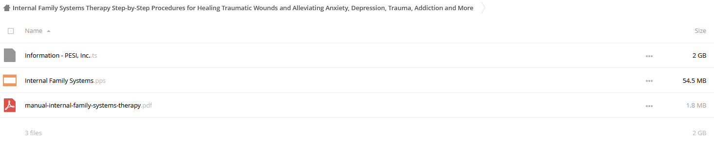 Internal Family Systems Therapy (IFS): A Revolutionary & Transformative Treatment of PTSD, Anxiety, Depression, Substance Abuse - and More! - Richard C. Schwartz