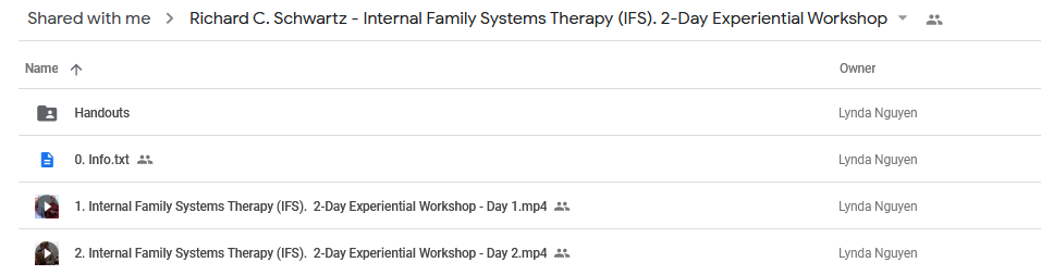 Internal Family Systems Therapy (IFS): 2-Day Experiential Workshop - Richard C. Schwartz