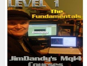 Jimdandym Ql4 Courses