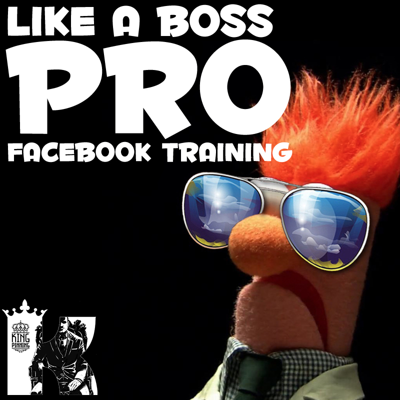 LIKE A Boss PRO Facebook Training