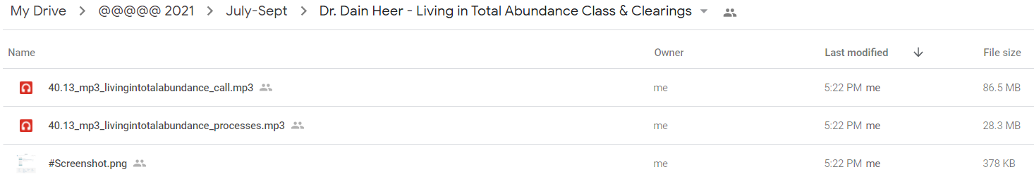 Dr. Dain Heer - Living in Total Abundance Class & Clearings