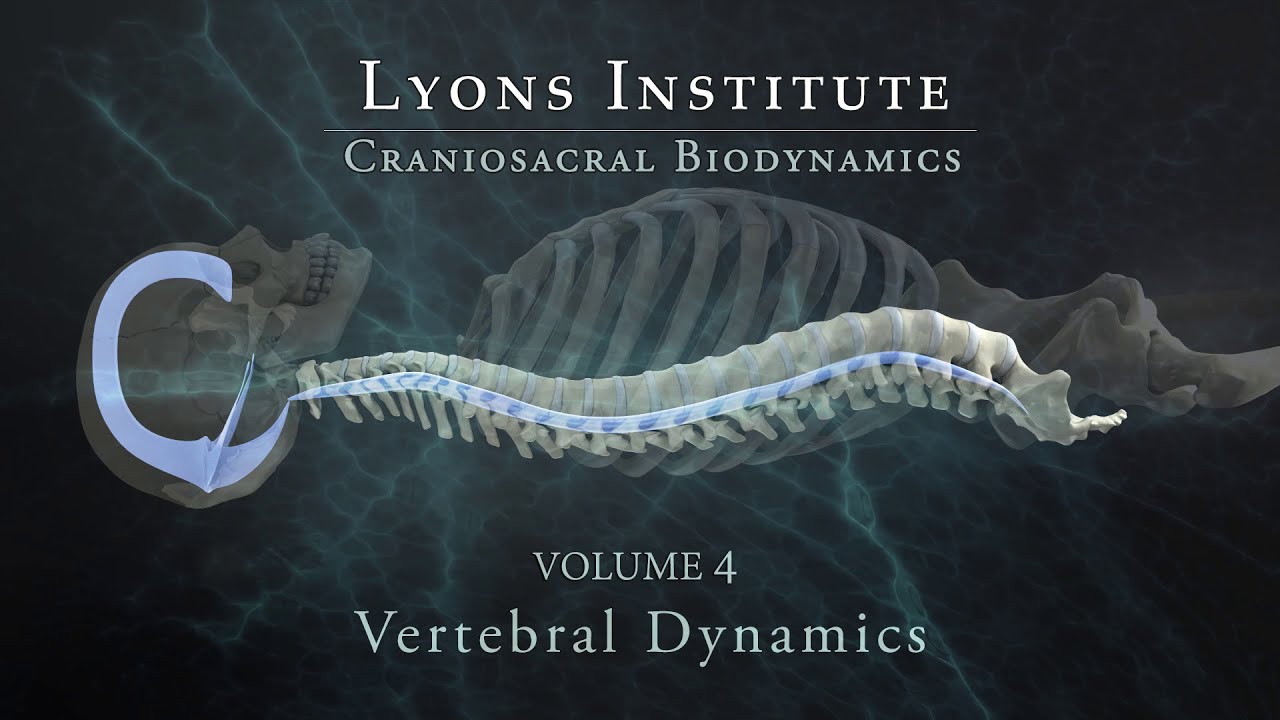 Lyons Institute - Biodynamic Craniosacral: Volume 4